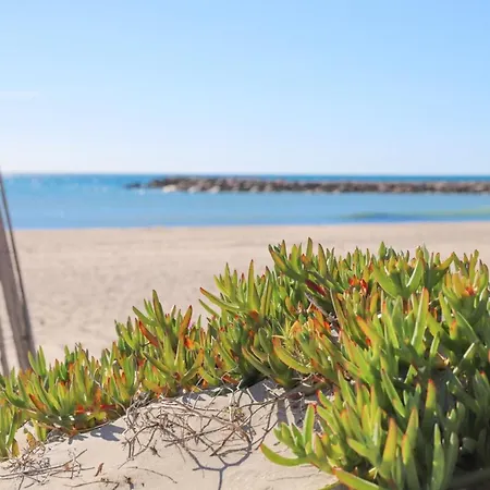 T2 Elegance Vue Mer Palavas-Les-Flots Exterior photo
